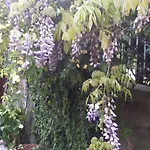 Creativhause 2 San Giuliano Terme