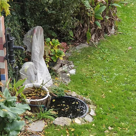 Accommodatie bij particulieren Creativhause 2 San Giuliano Terme